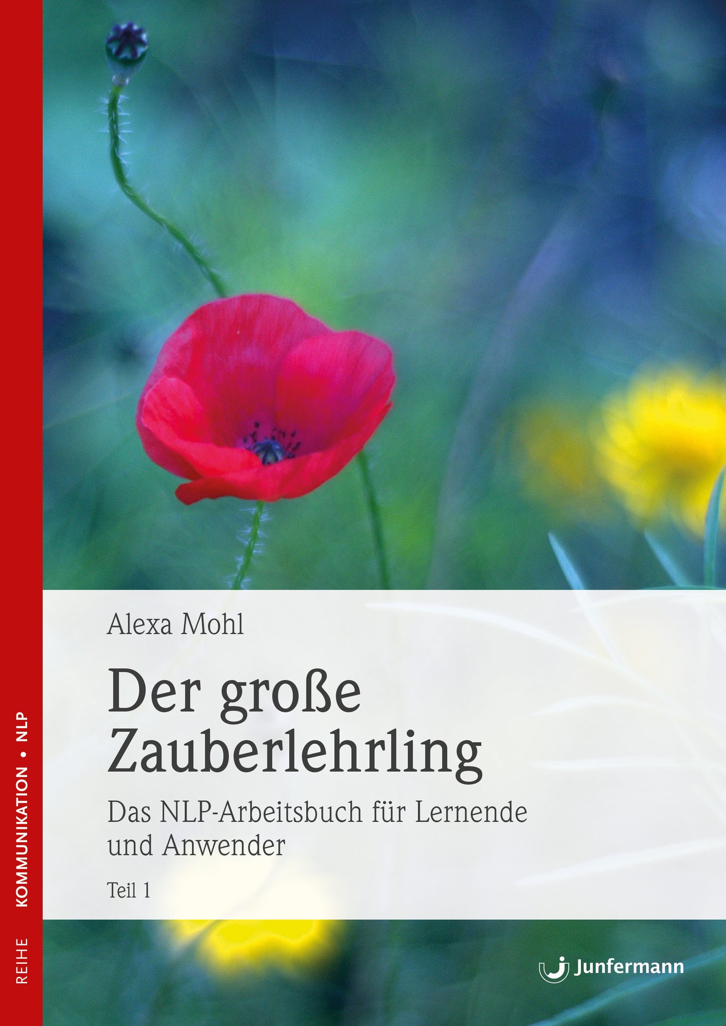 Der Große Zauberlehrling von Alexa Mohl